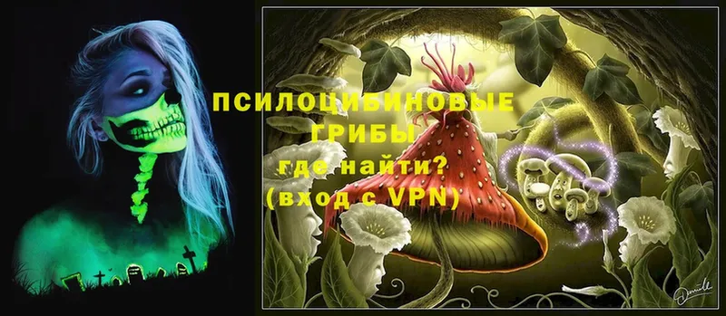 Галлюциногенные грибы Psilocybine cubensis  Арамиль 